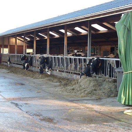 Boerderij "De Verwondering" Goudriaan Zewnętrze zdjęcie