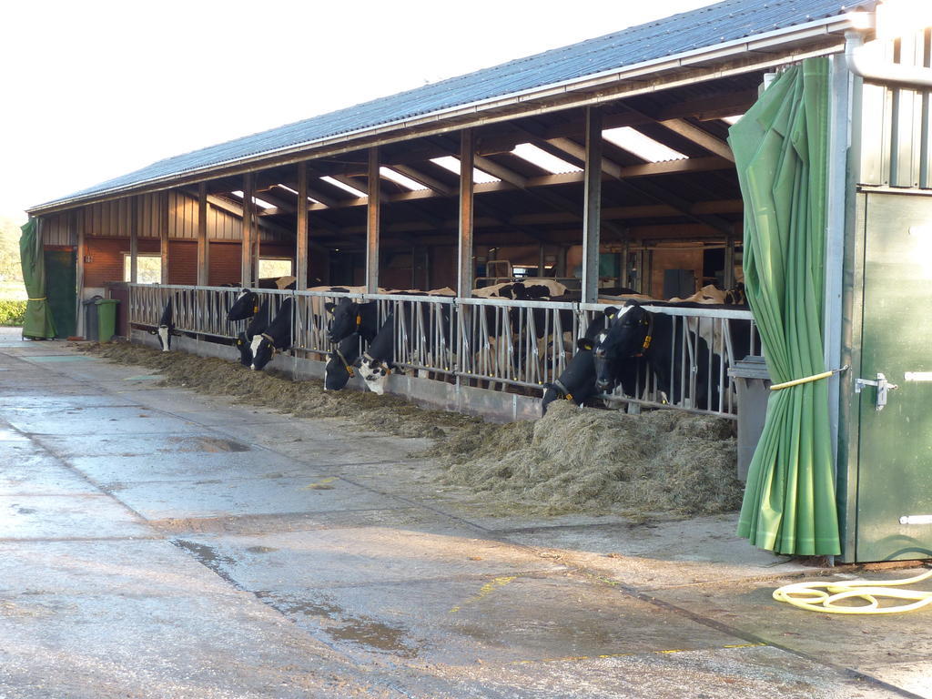 Boerderij "De Verwondering" Goudriaan Zewnętrze zdjęcie